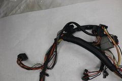 OEM Harley Davidson Fairing Interconnect Harness 2002 Ultra Green/Black 70232-02