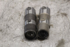 Hydraulic Lifter (2) 18538-99 HARLEY DAVIDSON