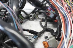 70245-06 ROAD KING MAIN WIRING HARNESS EFI HARLEY DAVIDSON