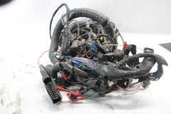 T2501944 HARNESS, MAIN 2005 TRIUMPH SPRINT