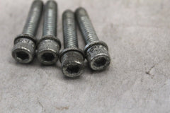 ECM MOUNTING SCREW 4PCS 3601 2005 HD SOFTAIL DELUXE FLSTNI