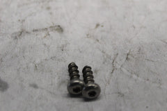 3596 TETHER STRAP SCREW (2) HARLEY DAVIDSON