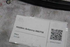 Hidden Antenna AM/FM