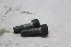 REAR CALIPER MOUNT SCREWS 2PCS 4597M 2008 H-D ELECTRAGLIDE FLHT
