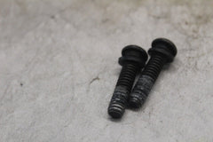 CLUTCH HALF-CLAMP SCREWS 2PCS 4132 2005 HD SOFTAIL DELUXE FLSTNI