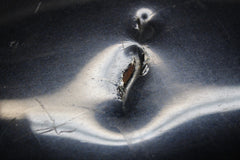 3464a330-1e45-4865-a313-be56597c4fa6