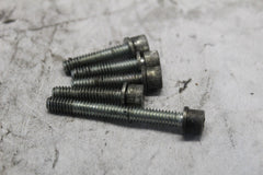 Outer Primary Screws 4718A (5pcs) 4740A (5pcs) 2005 ROAD KING CUSTOM FLHRSI