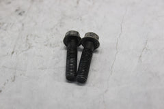 LEFT REAR COVER SCREW (2) 96001-06025-07  1998 HONDA CBR900RR