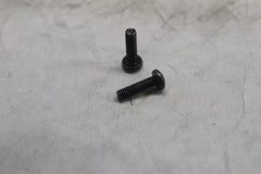 2590 MASTER CYLINDER SCREW (2) HARLEY DAVIDSON