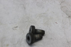 SADDLEBAG GUARD SCREW 2PCS 3676 2010 H-D ULTRA CLASSIC FLHTCU