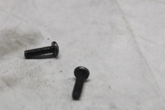 2590 MASTER CYLINDER SCREW (2) HARLEY DAVIDSON