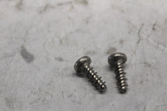 3596 TETHER STRAP SCREW (2) HARLEY DAVIDSON