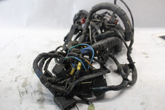 T2501944 HARNESS, MAIN 2005 TRIUMPH SPRINT