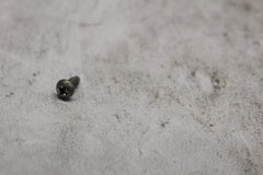 HEADLAMP DOOR SCREW 10200156  2019 HD ULTRA LIMITED LOW