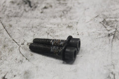 10500022 REAR MASTER SCREW HARLEY DAVIDSON