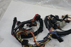 OEM Harley Davidson Fairing Interconnect Harness 2001 Ultra Blue 70232-00