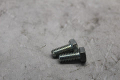 3987 FLANGE MOUNTING BOLT (2) HARLEY DAVIDSON