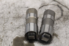 Hydraulic Lifter (2) 18538-99 HARLEY DAVIDSON
