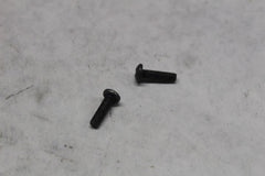 2590 MASTER CYLINDER SCREW (2) HARLEY DAVIDSON