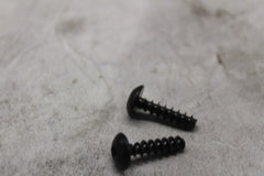 250000760 ABSORBER SUPPORT SCREW 2PCS 2023 CAN AM RYKER SPORT 900 ACE