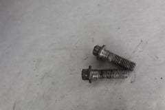 OEM Harley Davidson Front Caliper Mounting Screw Bolt (2) 44160-00