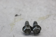 FORK CAN SCREW 2PCS 3739 2000 H-D ELECTRAGLIDE FLHT