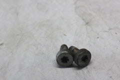 SADDLEBAG GUARD SCREW 2PCS 3676 2010 H-D ULTRA CLASSIC FLHTCU