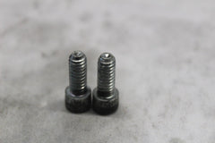 LOCKPLATE SCREW 2PCS 3594 2005 HD SOFTAIL DELUXE FLSTNI