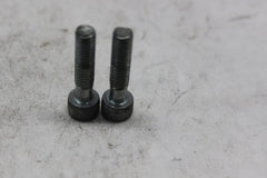 TENSIONER MOUNTING BOLT 2PCS 96600-06025-00 1998 HONDA CBR900RR