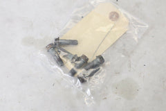 OEM Victory REAR Brake Disk Rotor Bolts Screws 7521014