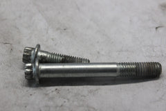 CALIPER MOUNTING SCREWS 44160-00,44163-00 2001 H-D SOFTAIL DUECE FXSTD