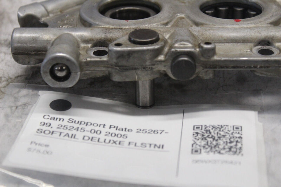 Cam Support Plate 25267-99, 25245-00 2005 SOFTAIL DELUXE FLSTNI