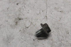 3576 EXHAUST HANGER SCREW HARLEY DAVIDSON