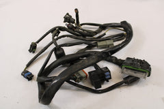 E.F.I EFI Wiring Harness 70233-02 Harley Davidson