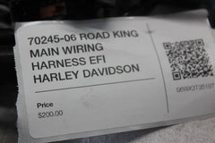 70245-06 ROAD KING MAIN WIRING HARNESS EFI HARLEY DAVIDSON
