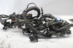 T2501944 HARNESS, MAIN 2005 TRIUMPH SPRINT