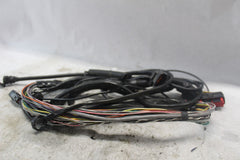HARLEY DAVIDSON AUDIO WIRE HARNESS 70160-10 2010 H-D ULTRA CLASSIC FLHTCU
