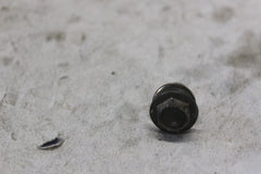 DIFFERENTIAL BREATHER BOLT 90126-415-000 1982 GOLDWING GL1100A