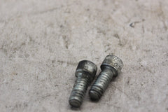 LOCKPLATE SCREW 2PCS 3594 2001 H-D SOFTAIL DUECE FXSTD