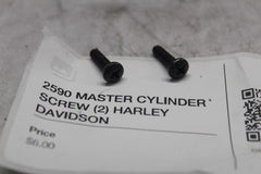 2590 MASTER CYLINDER SCREW (2) HARLEY DAVIDSON