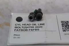 CYL HEAD OIL LINE BOLT (2) 4705 2020 FATBOB FXFBS