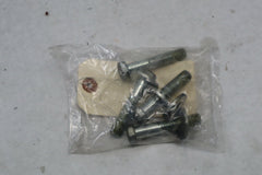 OEM Harley Davidson Rear Shock Bolts 2006 Ultra Classic Gray 3607