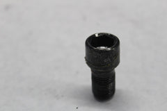 Fork Damper Screw (2) 49mm 45500118