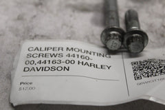 44160-00 Front Caliper Bolt (2) HARLEY DAVIDSON