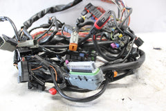 70245-06 ROAD KING MAIN WIRING HARNESS EFI HARLEY DAVIDSON