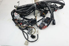 70245-02 ROAD KING Main Wire Harness HARLEY DAVIDSON