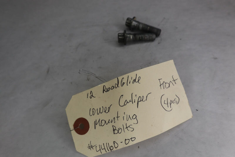 OEM Harley Davidson Front Caliper Mounting Screw Bolt (2) 44160-00