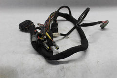 UNDER STEER HEAD WIRING HARNESS 69201717 2020 FATBOB FXFBS