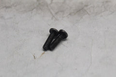 2590 MASTER CYLINDER SCREW (2) HARLEY DAVIDSON