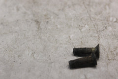 FRONT M.C. CAP SCREW 2PCS 92001-1055 1980 KAWASAKI KZ440